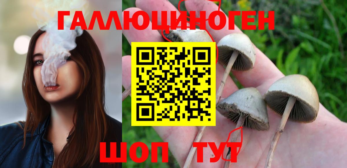 Гусиноозёрск  Галлюциногенные грибы мицелий  Вход с VPN 